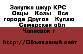 Закупка шкур КРС , Овцы , Козы - Все города Другое » Куплю   . Самарская обл.,Чапаевск г.